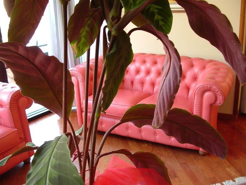Waldorf Suite Hotel Rimini Eksteriør billede